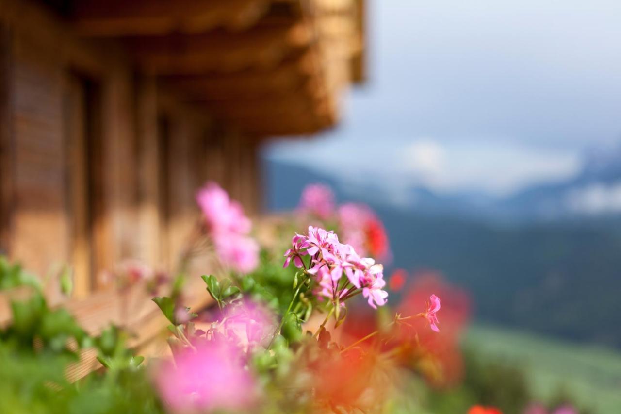 Bauernhof Zwiglhof Villa San Candido Ngoại thất bức ảnh